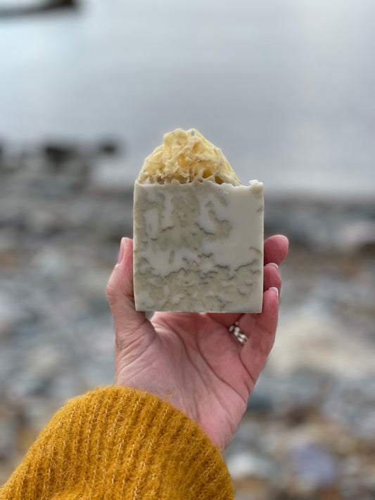 Tidal Bar ~ Artisan Sea Sponge Soap