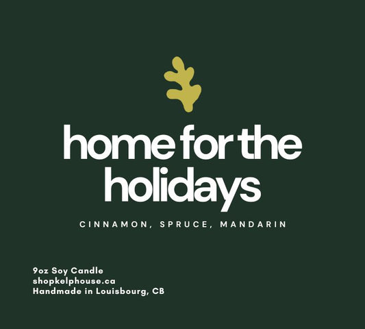Home for the Holidays