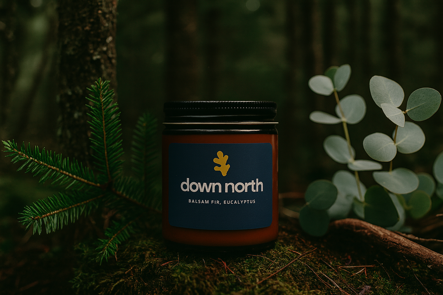 Down North