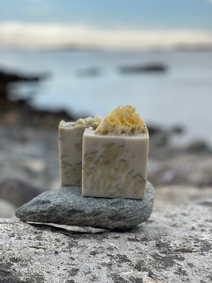 Tidal Bar ~ Artisan Sea Sponge Soap