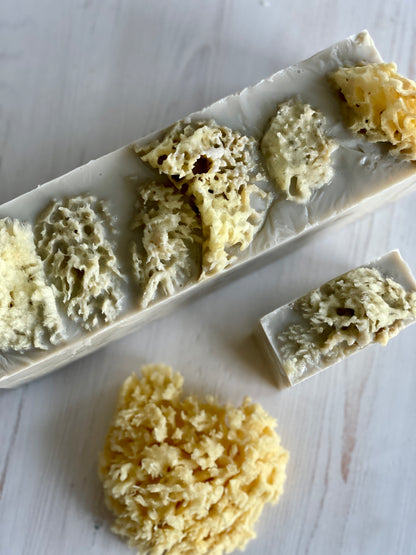 Tidal Bar ~ Artisan Sea Sponge Soap